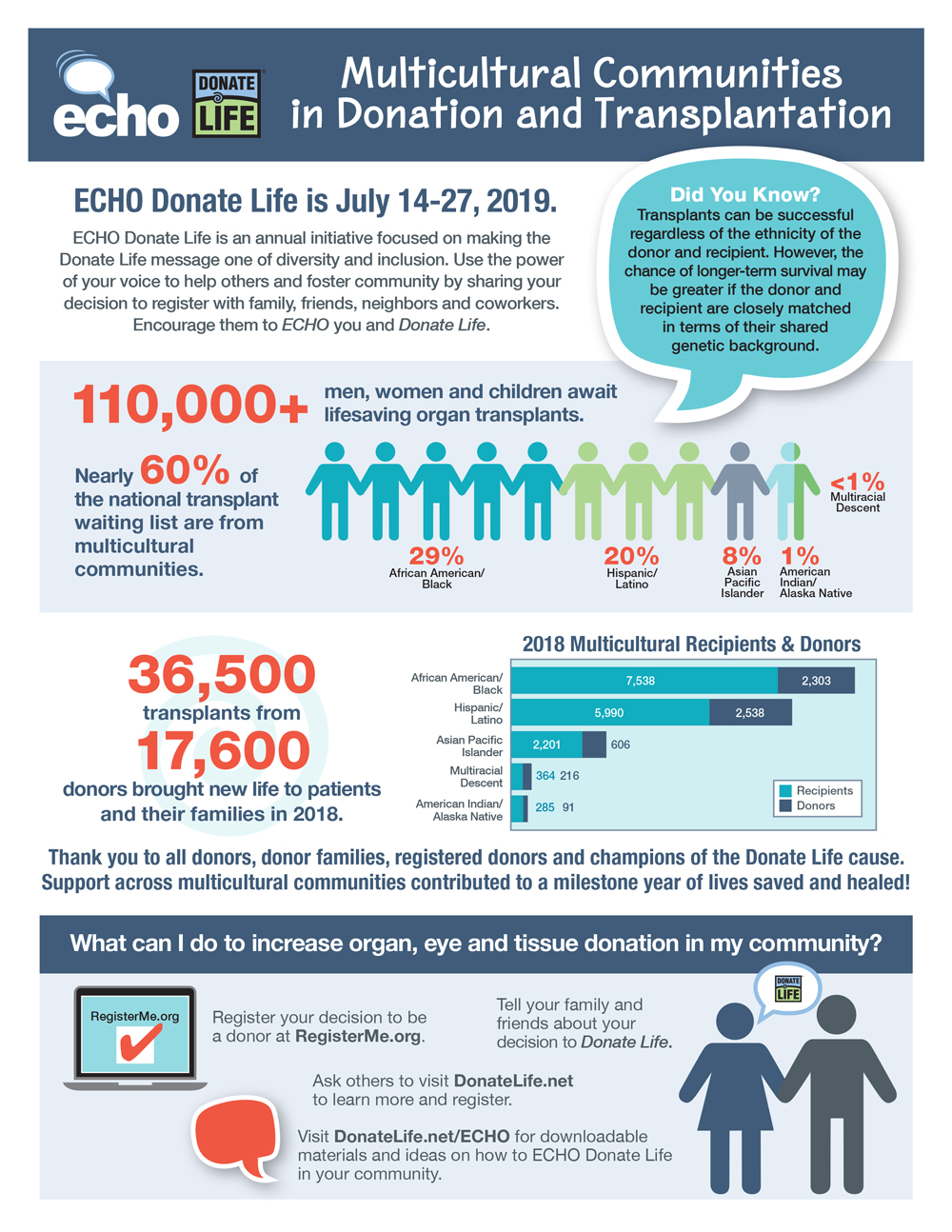 ECHO Donate Life Infographic